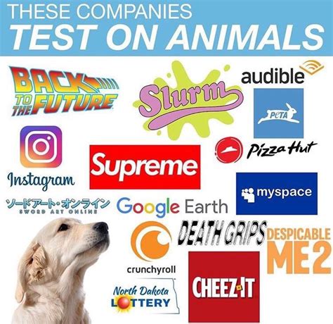 companies that experiment on animals.